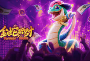 大小单双导师带赚包赔正式版