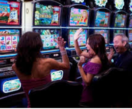 大小单双导师带赚包赔2024最新版