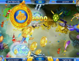 大小单双导师带赚包赔2024最新版