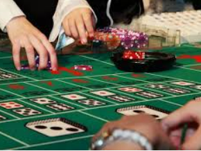 大小单双导师带赚包赔